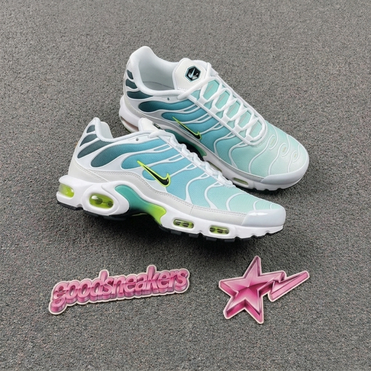 Nike Air Max Plus - Dusty Cactus