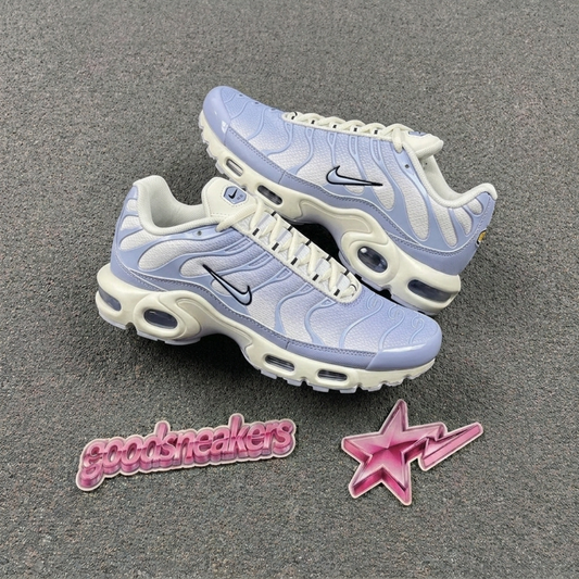 Nike Air Max Plus - Sanded Purple Blue