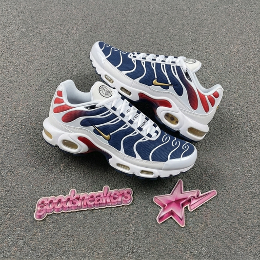 Nike Air Max Plus -  Paris Saint-Germain