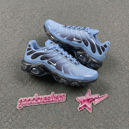 Nike Air Max Plus - World Indigo Cave Purple