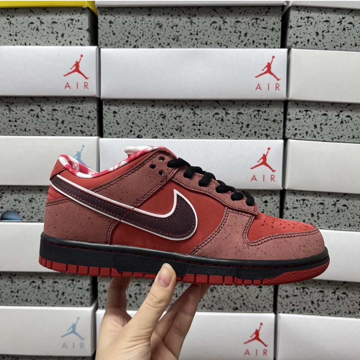 Concepts X Nike SB Dunk Low - Red Lobster