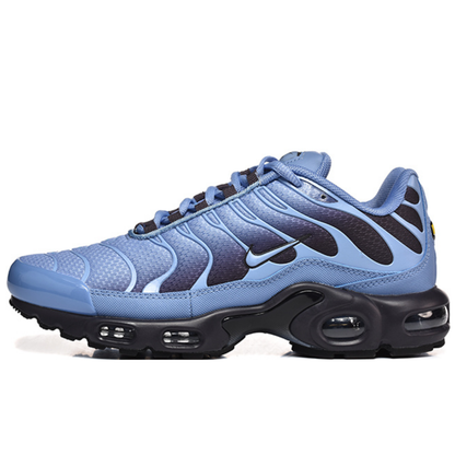 Nike Air Max Plus - World Indigo Cave Purple