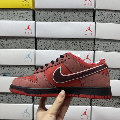 Concepts X Nike SB Dunk Low - Red Lobster