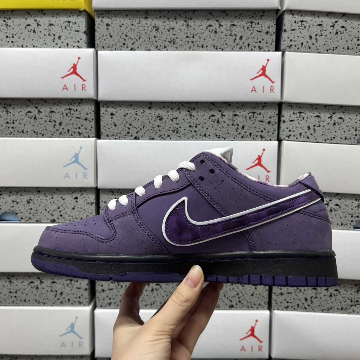 Concepts x Nike SB Dunk Low - Purple Lobster