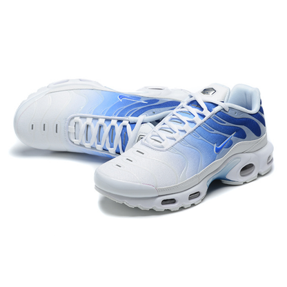 Nike Air Max Plus - White Concord Royal Blue