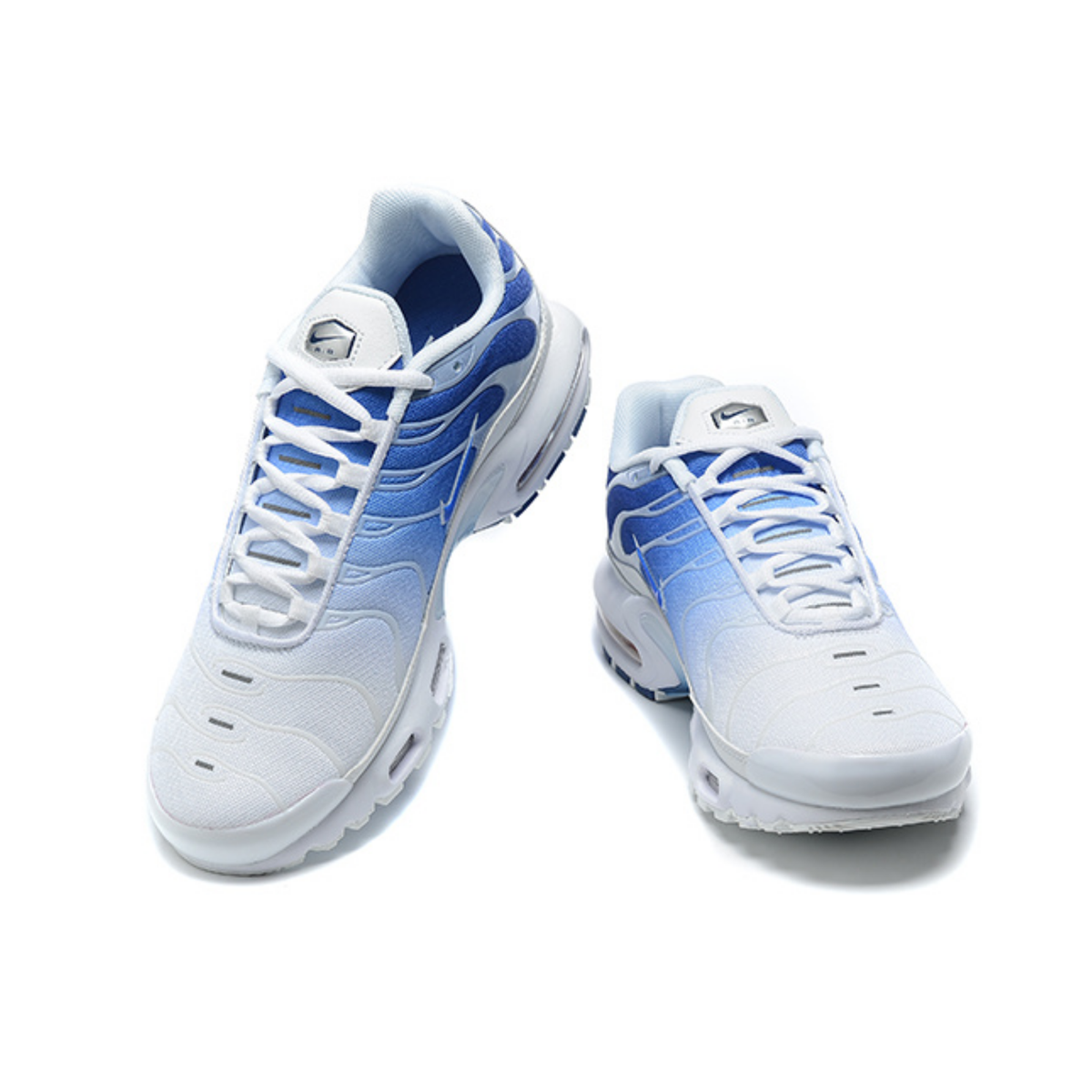 Nike Air Max Plus - White Concord Royal Blue
