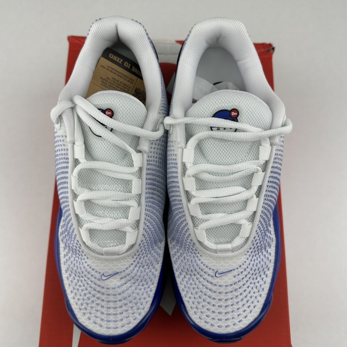 Nike Air Max DN - Platinum Royal Blue