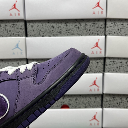 Concepts x Nike SB Dunk Low - Purple Lobster