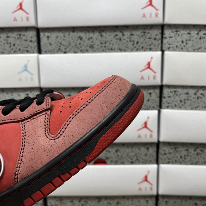 Concepts X Nike SB Dunk Low - Red Lobster