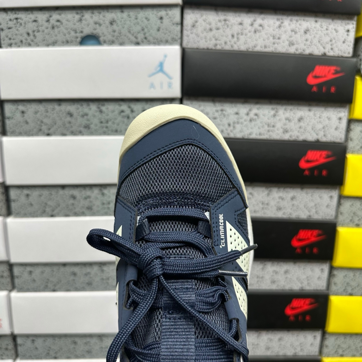 Adidas Terrex Daroga Cordura Climacool  - Collegiate Navy/Cream White