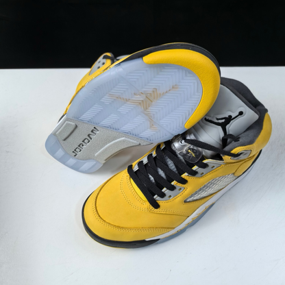Air Jordan 5 - Michigan