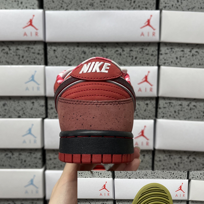 Concepts X Nike SB Dunk Low - Red Lobster