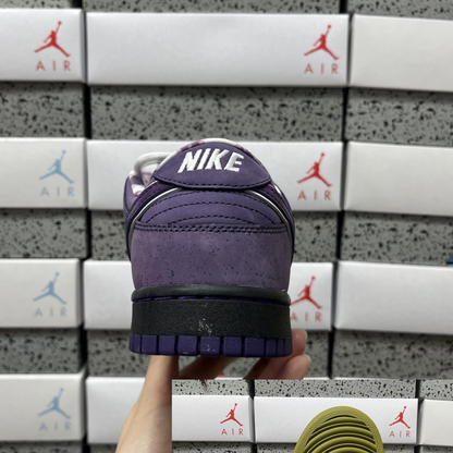 Concepts x Nike SB Dunk Low - Purple Lobster
