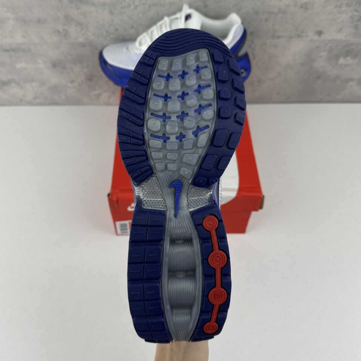 Nike Air Max DN - Platinum Royal Blue