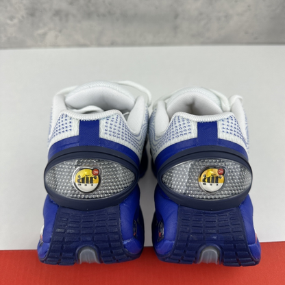 Nike Air Max DN - Platinum Royal Blue