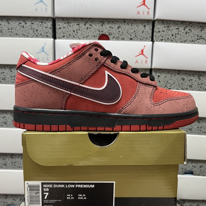 Concepts X Nike SB Dunk Low - Red Lobster