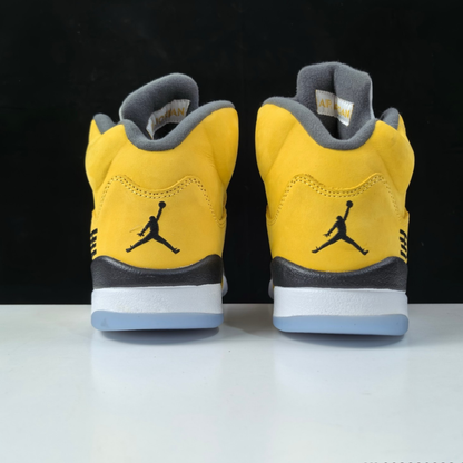 Air Jordan 5 - Michigan